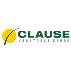 Clause, Франція