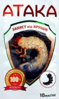 Атака хрущ