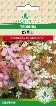 Гіпсофіла суміш