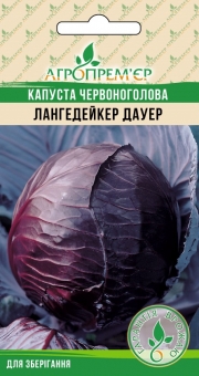 Капуста червоноголова Лангедейкер Дауер
