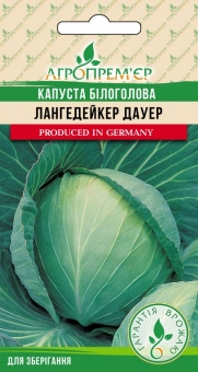 Капуста білоголова Лангедейкер Дауер
