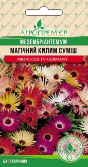 Мезембріантемум Магічний килим суміш
