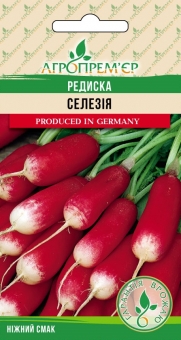 Редиска Селезія