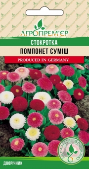 Стокротка Помпонет суміш